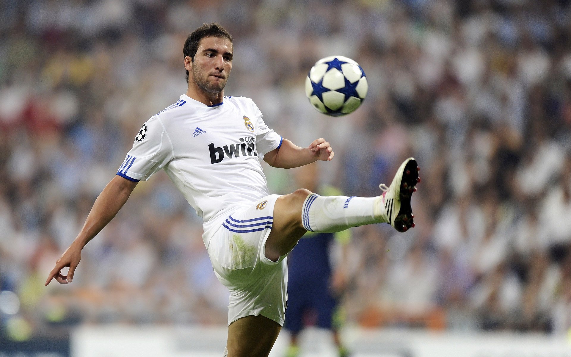 凯尔特人外线精准压制对手，连胜势头不减，凯尔特人celtics