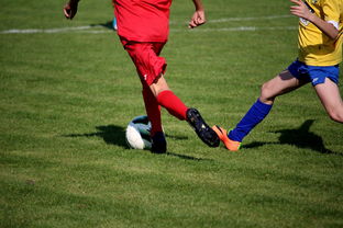 爱游戏内容中心-世界男子排球联赛意大利主场折桂，意大利男子排球联赛直播