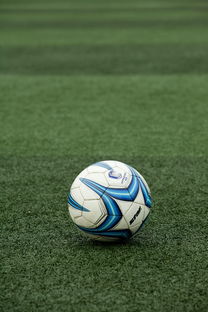 爱游戏全站app注册-高校体育场馆开放管理与使用效率提升策略,高校体育场馆对外开放的意义